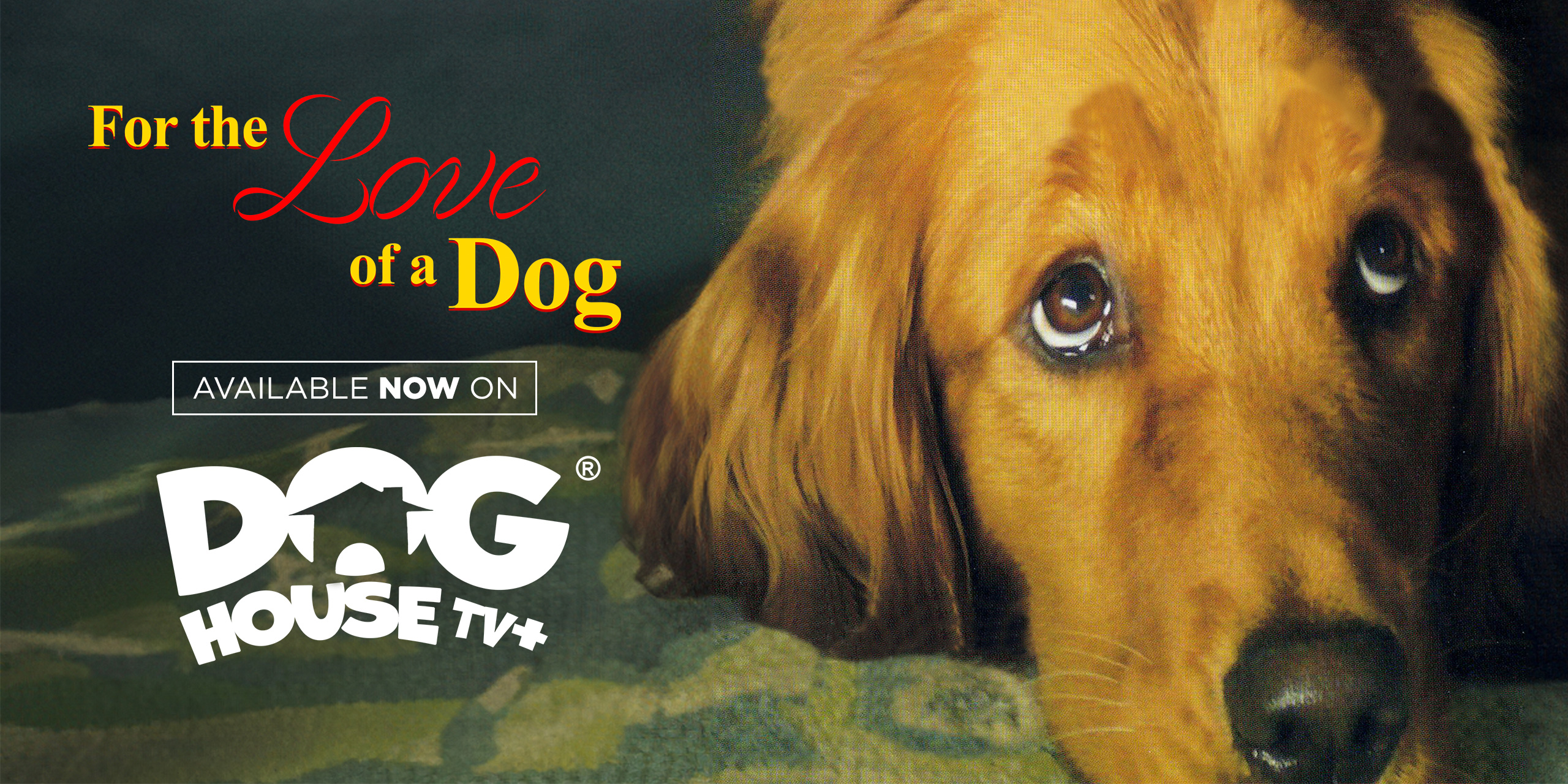 2560x1280-LOVEDOG