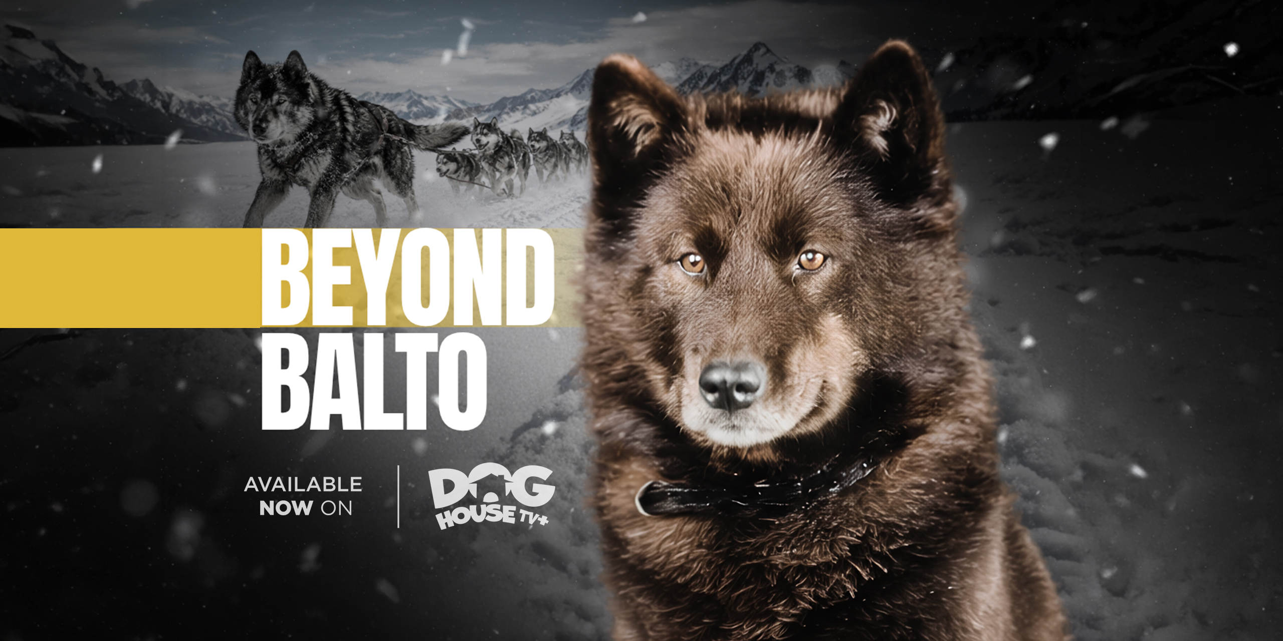 2560x1280-Balto
